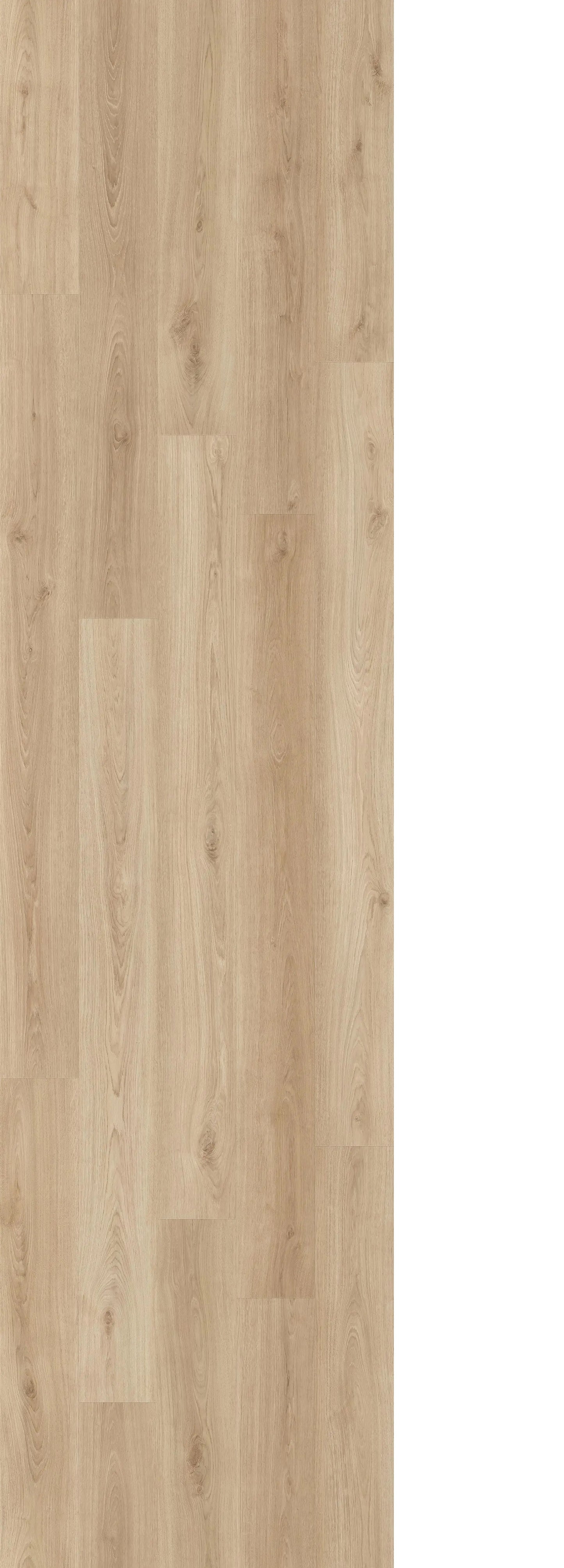 416RGO Regal Oak