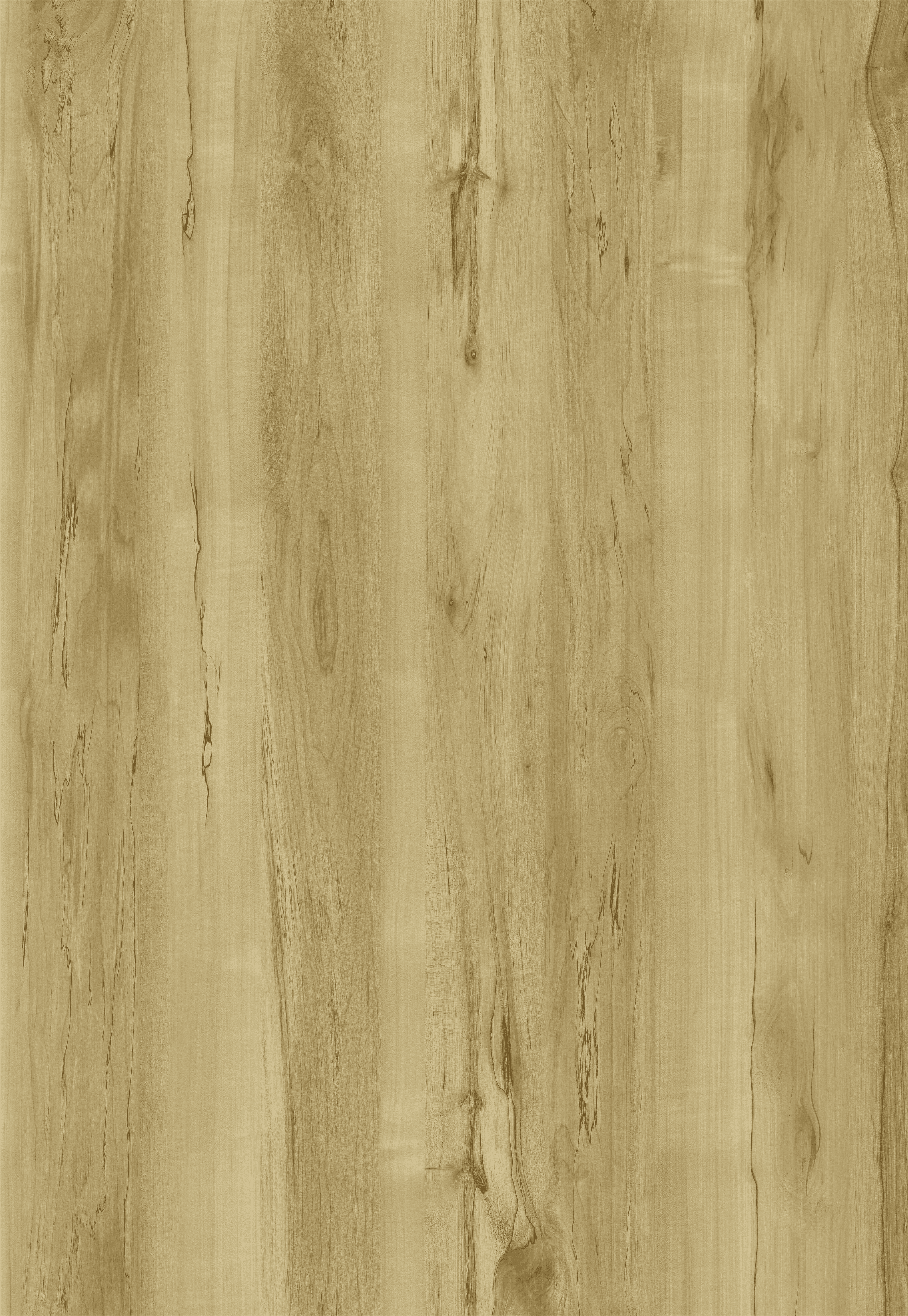 TC472 Enchanting Maple – WholesaleFloors