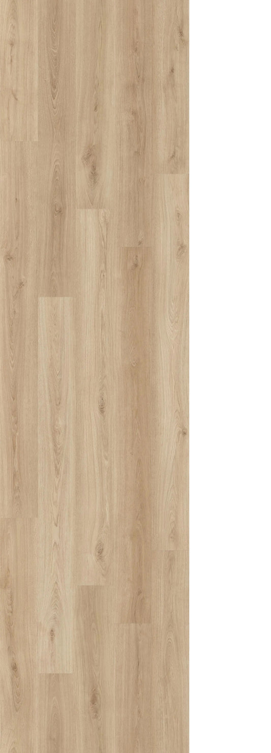 416RGO Regal Oak