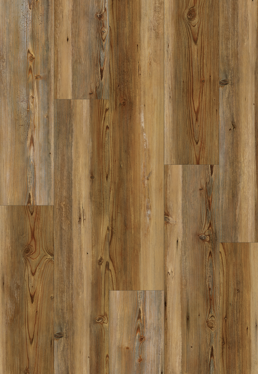 TC897 New Ridge Pine